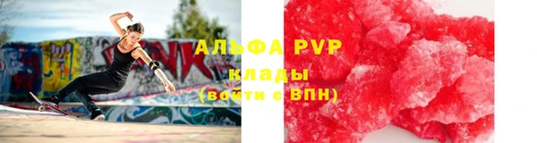 индика Магадан