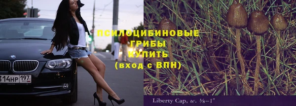 СК Мегион