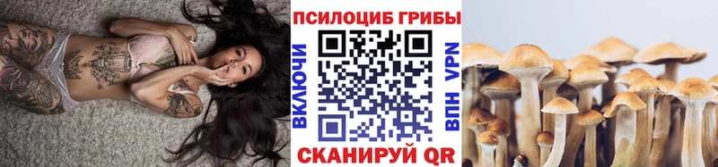Галлюциногенные грибы прущие грибы  купить наркотики цена  Нижняя Тура 